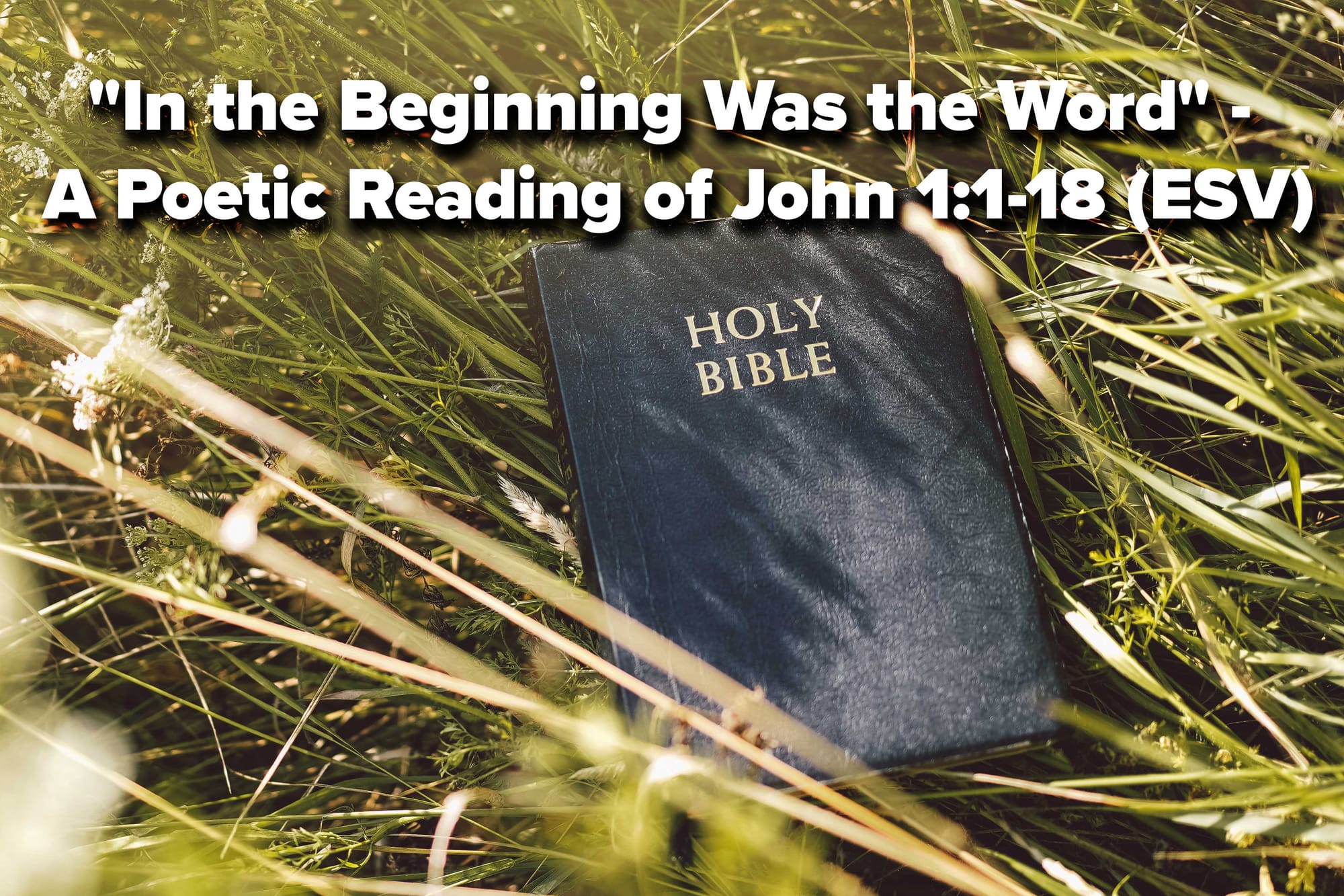 "In the Beginning Was the Word" - A Poetic Reading of John 1:1-18